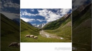 "Чыгъып-чыгъып"