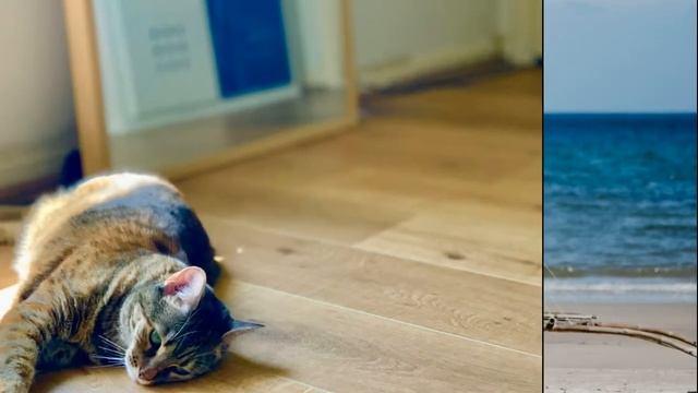 Раслабляющая музыка; музыка для релаксации;