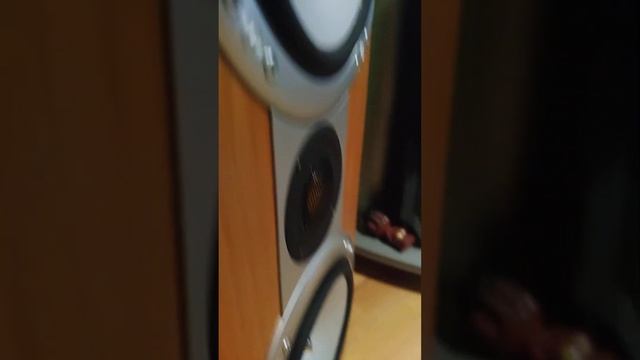 Monitor Audio Silver RSLCR смотреть онлайн