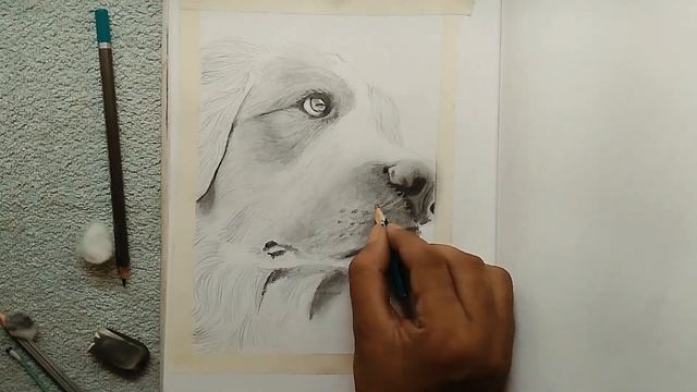 Pencil sketch(2020)-HOW TO sketch dogs?---PAWS смотреть онлайн