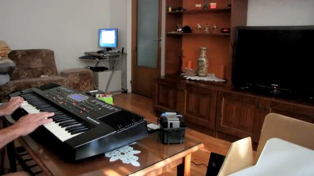 Roland E-300 Synthesizer