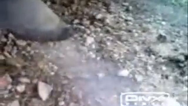 Exhaust Ford Escort 1.3 смотреть онлайн