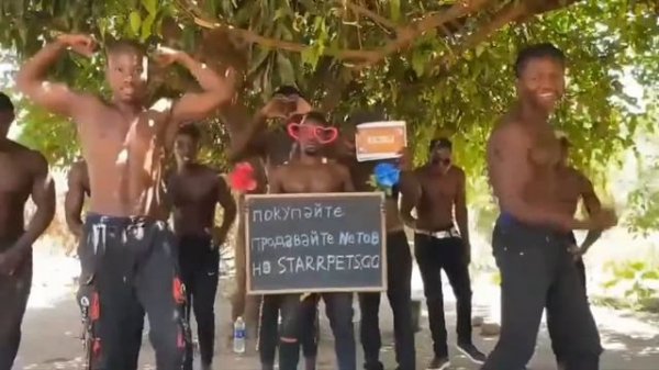 StarPets не может больше чем-то удивить?