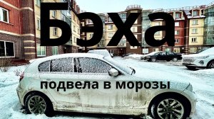БМВ не заводится в мороз. День оживлений.