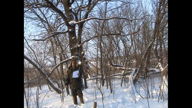 СТИХИ О ЛЮБВИ СЛОВА ИГОРЯ ДЕНИСЕНКОВА смотреть онлайн