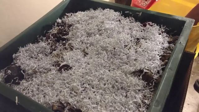 Worm Factory 360 WF360B Worm Composter Review - Awesome Result смотреть онлайн