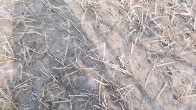 НОВЫЕ НАХОДКИ СО СТАРЫХ МЕСТ... смотреть онлайн