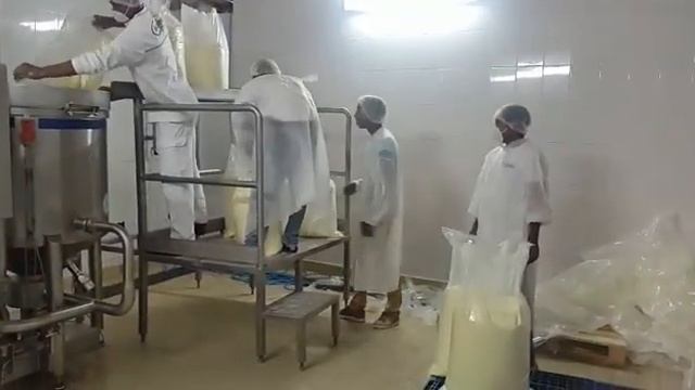 Cheese manufacturing machine | make Cheese смотреть онлайн
