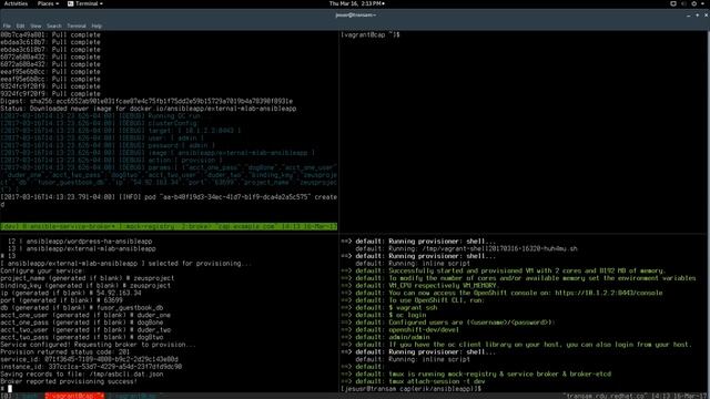 Sprint #3 - Ansible Service Broker BIND API (bad audio) смотреть онлайн
