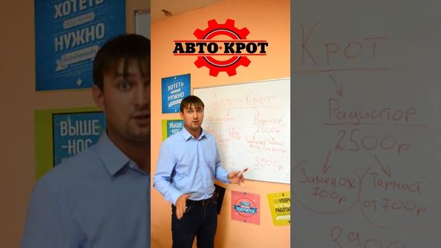 Промывка радиатора печки. Авто-крот.Как именно заработать на этом оборудовании. смотреть онлайн