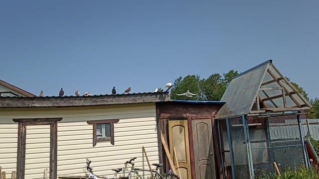 летают не плохо но не все смотреть онлайн