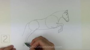 How to Draw a Horse Jumping