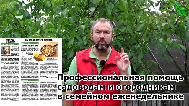 КОМПОСТ ИЗ ЛИСТЬЕВ... ДАЖЕ ОРЕХА! Что добавить к листьям, чтобы получить ценное удобрение. смотреть онлайн