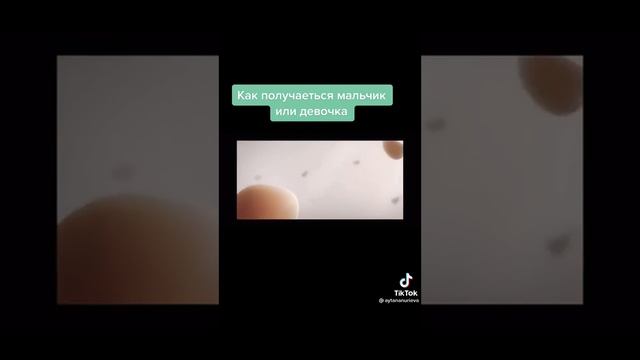 Зачатье. Как получается мальчик или девочка