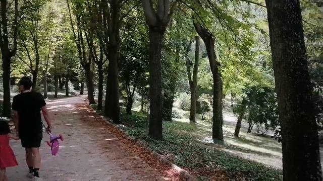 Royal Palace of Madrid/Jardines De Sabatini #RoyalPalaceofMadrid #Madrid