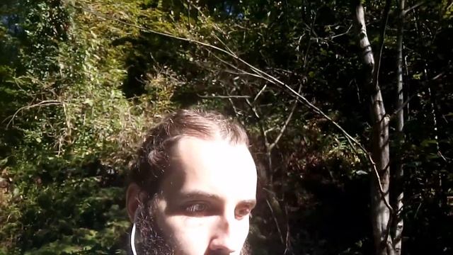 Климат для фруктоеда. Субтропики. Сочи. смотреть онлайн