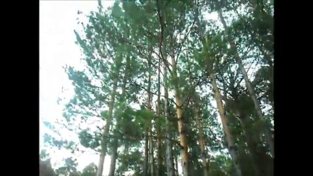 Репортаж ученицы 4 класса о происхождении названия малой Родины для урока ОРКСЭ смотреть онлайн