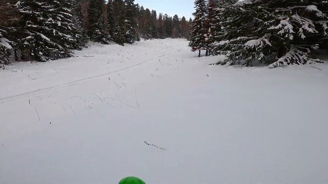 Не снегоход и не мотоцикл ,первый выезд на чуде с лыжей впереди.#сноубайк#снегоход смотреть онлайн