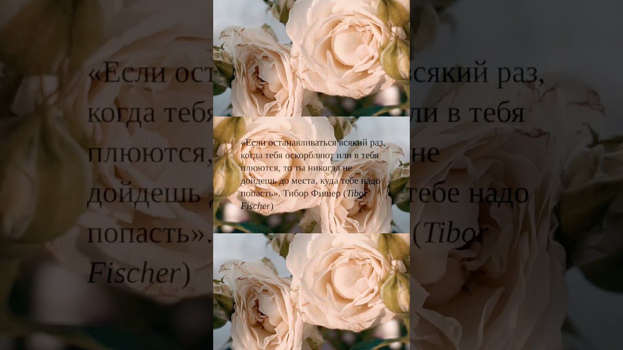 Очень помогающие слова по жизни #цитаты #shorts #цель смотреть онлайн