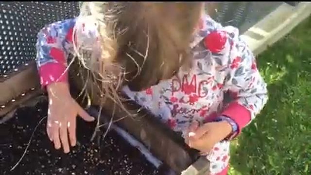 Лиза показывает свой маленький сад на террасе. смотреть онлайн