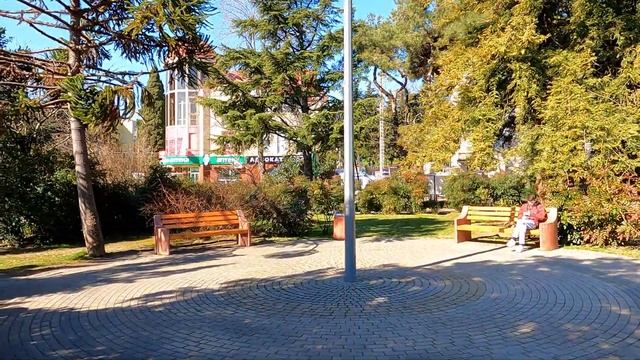 Зацветают магнолии! 22.02.2022. Воздух +16-18. ?ЛАЗАРЕВСКОЕ СЕГОДНЯ?СОЧИ. смотреть онлайн