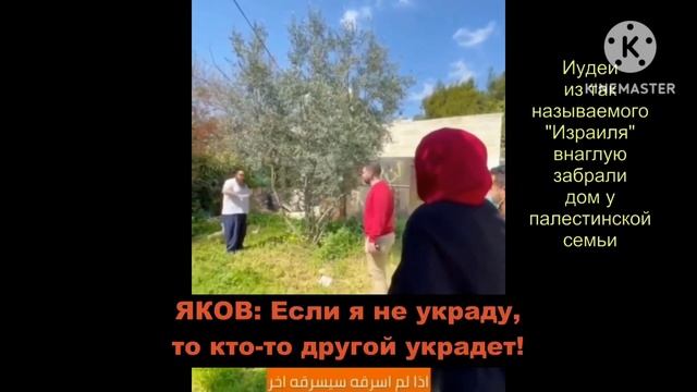 Иудей Внаглую Забирает Дом У Палестинской Семьи || "Полный Фильм В Описании Видео" смотреть онлайн