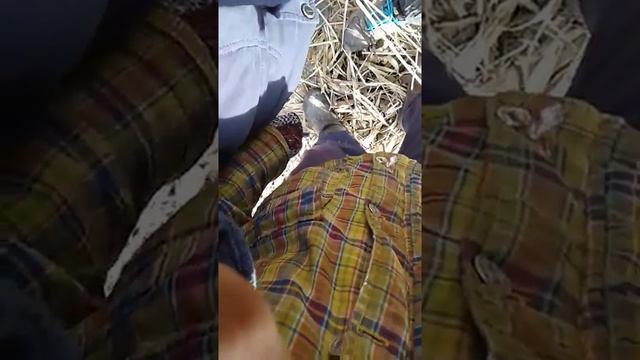 История рыбака смотреть онлайн