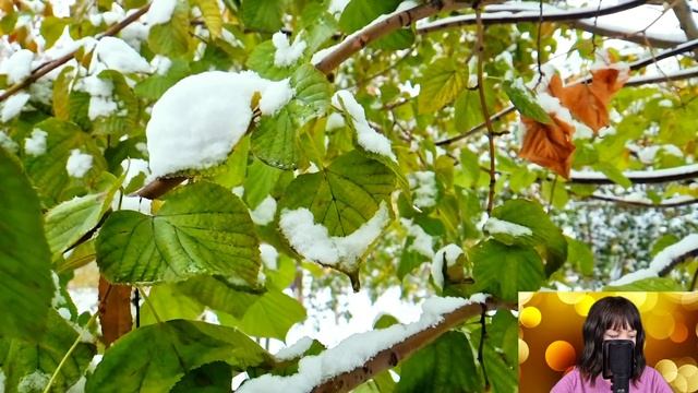 Внуки не пришли проститься со своим дедом. Но когда они приехали через месяц за наследством... смотреть онлайн