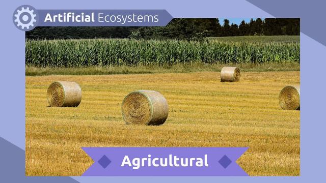 PLANET EARTH - Everything You Should Know About Earth - Compilation Video - Science for Kids смотреть онлайн