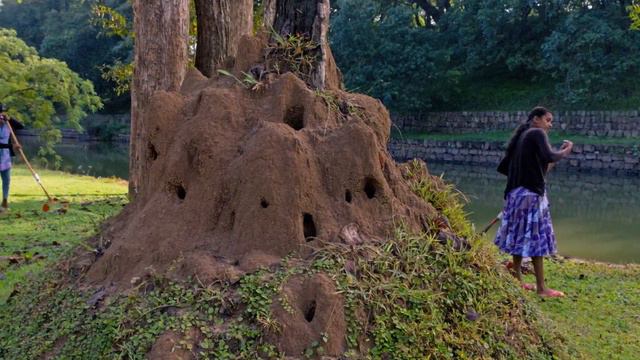 Dambulla, Sigiriya, Kandy, Hikkaduwa, Unawatuna