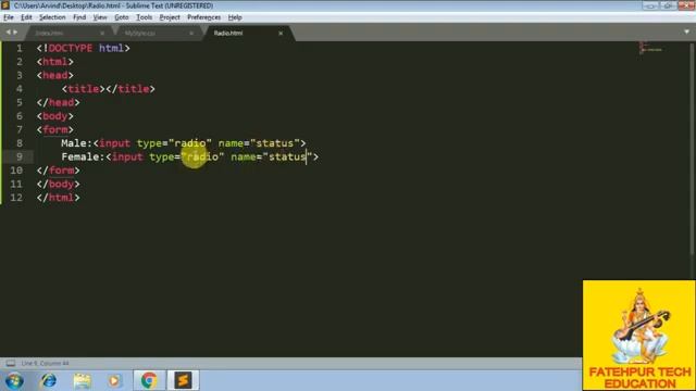 M2R5.1 Web Designing & Publishing Part 26 Radio button & CheckBox in HTML in Hindi смотреть онлайн