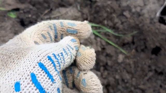 Коп монет. Поиск монет с Minelab E-Trac. смотреть онлайн