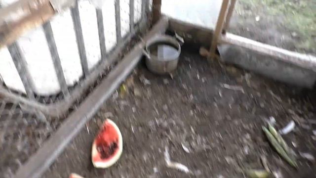 VLOGi проверка качества/тайник найден смотреть онлайн