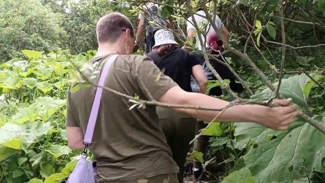 День рождения группы #ГОРЫ4Х4. Водопад в аул Кызыл-Кала. смотреть онлайн