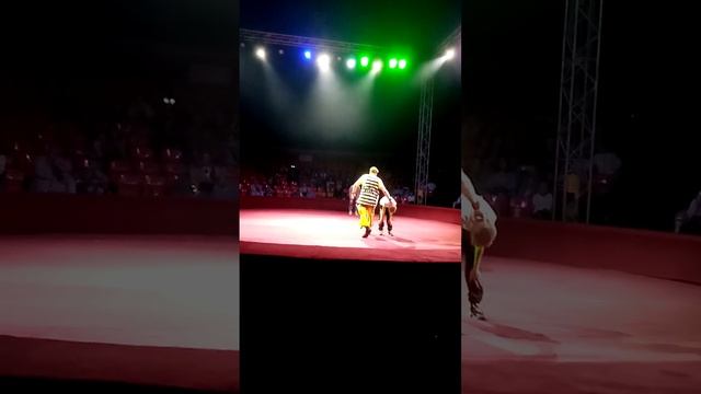 клоун вызывает на монеж смотреть онлайн