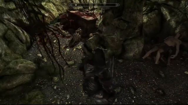 The Elder Scrolls V - SKYRIM Gameplay смотреть онлайн