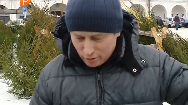 Сколько стоят новогодние елки в Костроме? смотреть онлайн