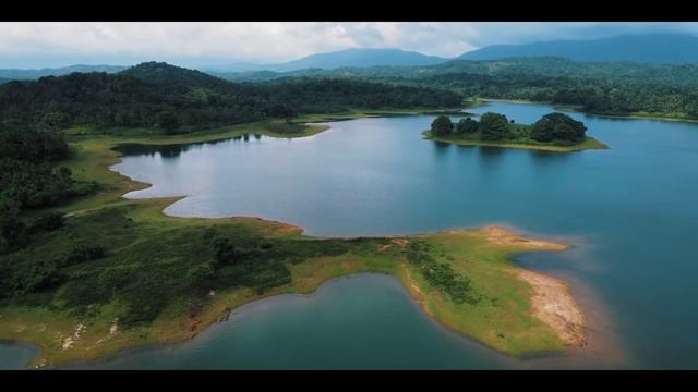 DBT Медитация Мудрый разум Вдох и выдох смотреть онлайн