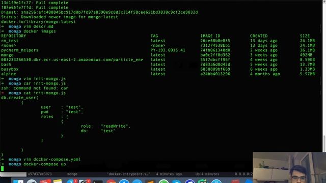 MongoDB: Docker installation смотреть онлайн