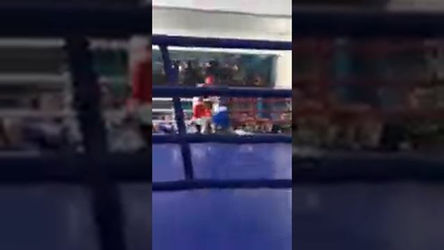 The next gypsy king from boxing смотреть онлайн