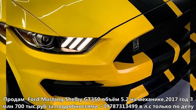 ШОК!Армянский учёт!Продам Ford Mustang Shelby GT350 объём 5.2 смотреть онлайн