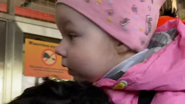 Обзор Ленинградского зоопарка смотреть онлайн