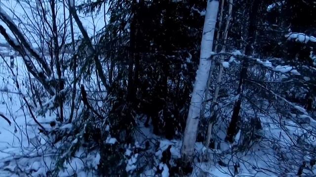 Лада Нива ТРЕВЕЛ 2021. ПОПАДОС!!! Тащит в РЕКУ на БЕЗДОРОЖЬЕ!!! Как теперь ВЫБРАТЬСЯ??? смотреть онлайн