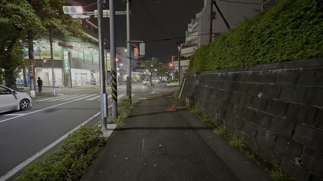 2K・ Ночной Аобадай・Прогулка по Иокогаме