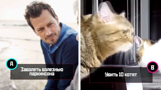 Тест На Интеллект - Узнай Кто Ты смотреть онлайн