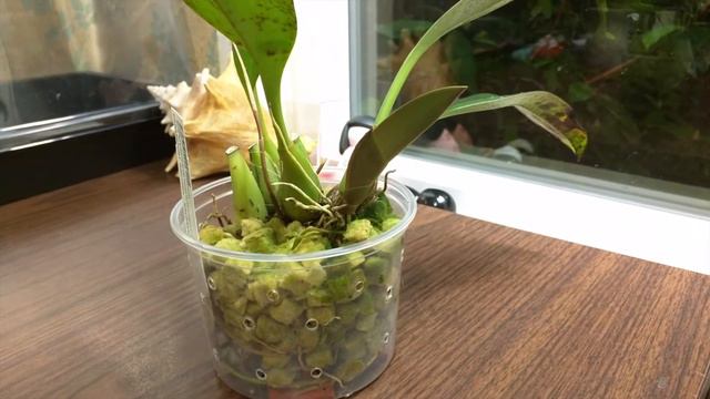 End of March updates смотреть онлайн