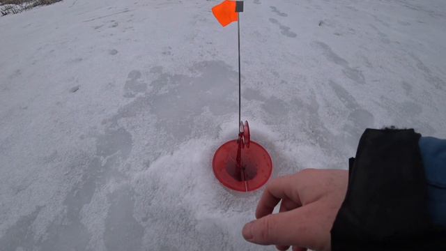 Жерлицы, на заливе реки Белая смотреть онлайн