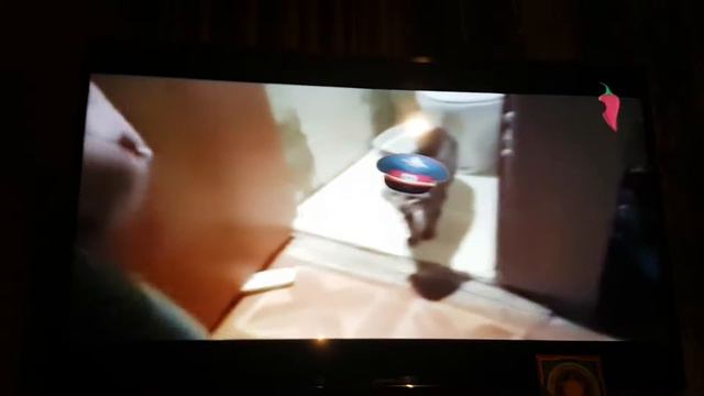 +100500 Koт не пускает хозяина в туалет смотреть онлайн