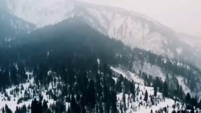 Путешествия по рекамНазвания канала: