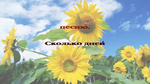 033. Я у Господа в долгу смотреть онлайн